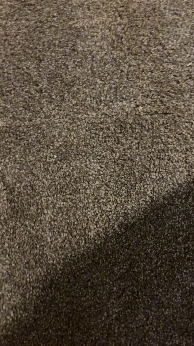 Carpet - Image 3