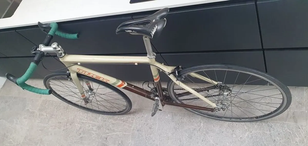 Single Speed Trek District Bike - Image 1