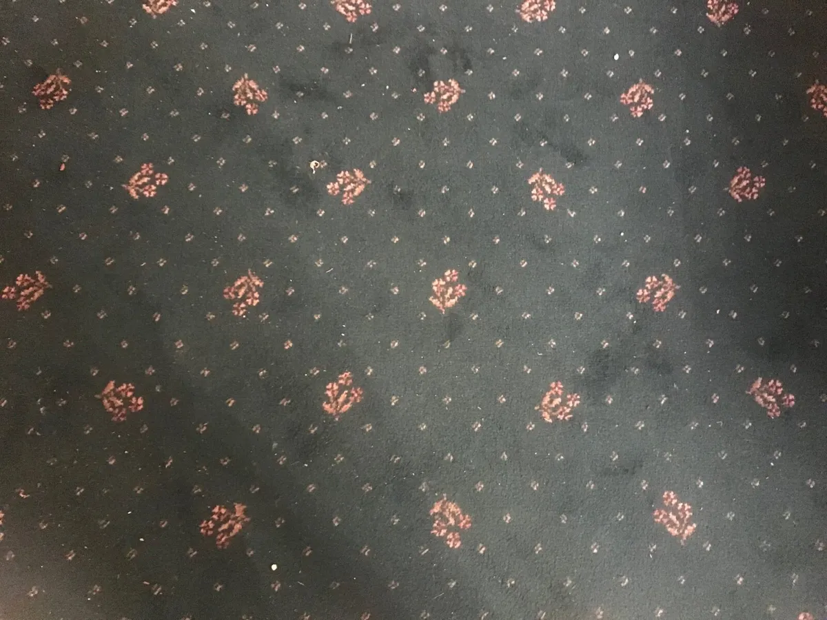 Carpet - Image 1