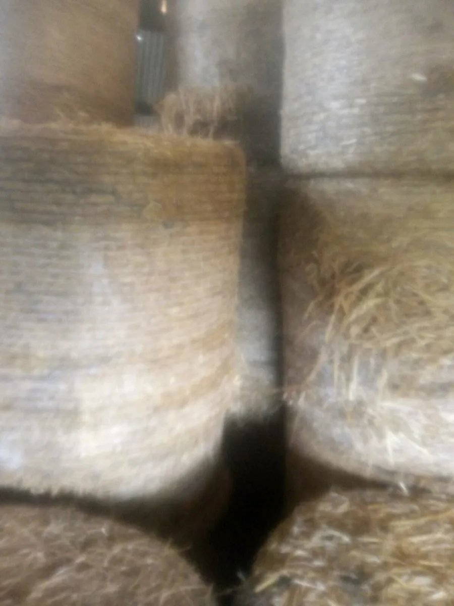 Straw.   +.  Silage bales - Image 1