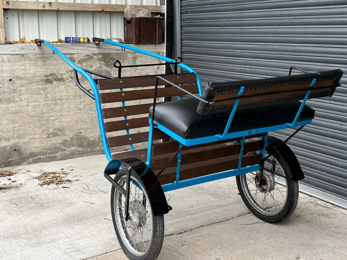 Brand new road cart for sale - Image 3
