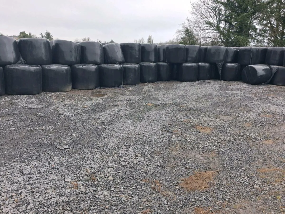 Silage Bales - Image 1