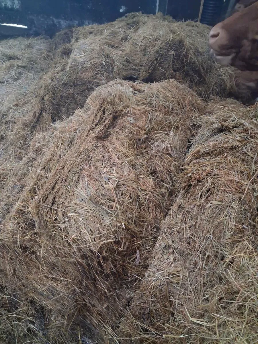 Silage Bales - Image 3