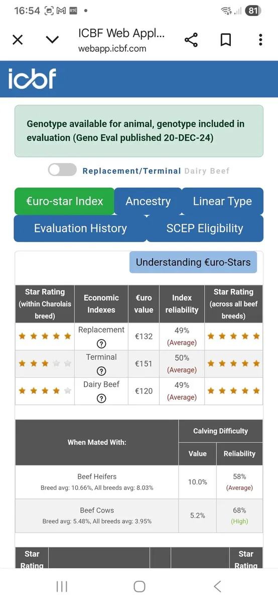 5 star Pbr limousin and charolais bulls - Image 2