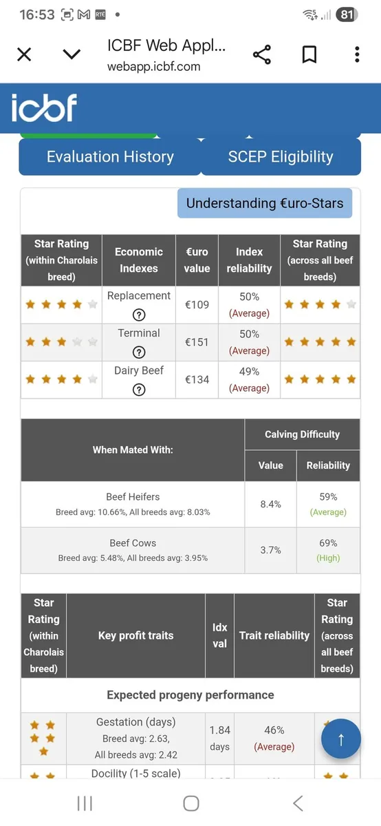 5 star Pbr limousin and charolais bulls - Image 3