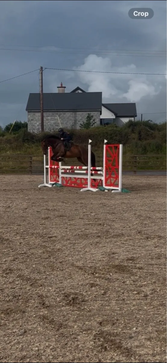 5y/o mother daughter share/ allrounder - Image 1