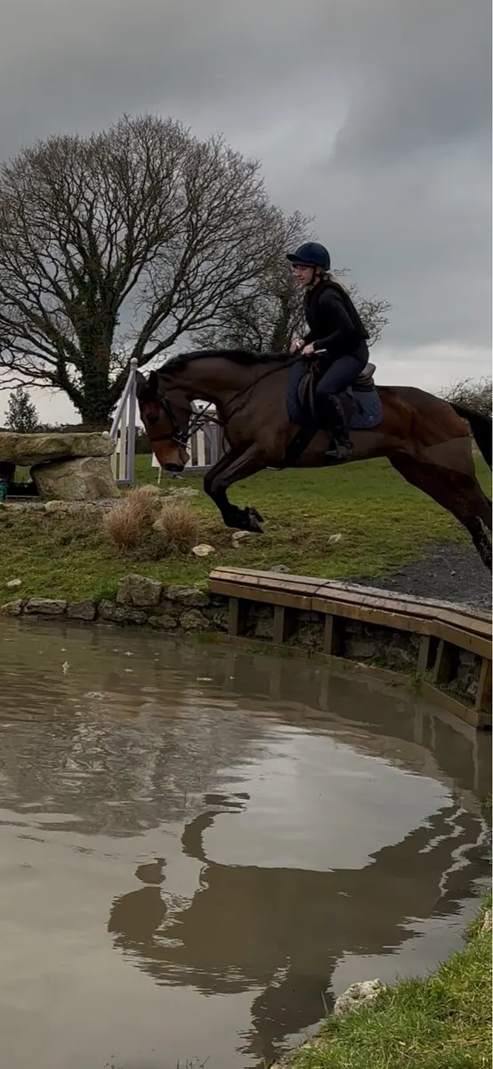 5y/o mother daughter share/ allrounder - Image 2