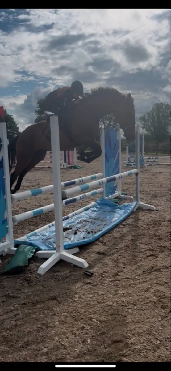 5y/o mother daughter share/ allrounder - Image 3