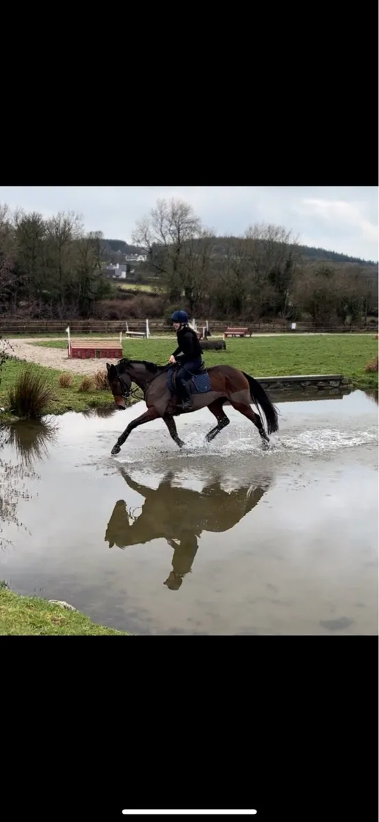 5y/o mother daughter share/ allrounder - Image 4