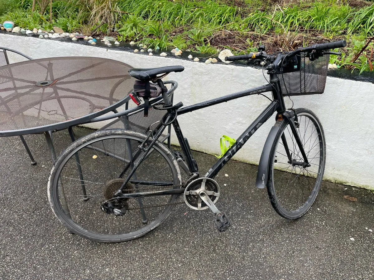 Bicycle - Image 1
