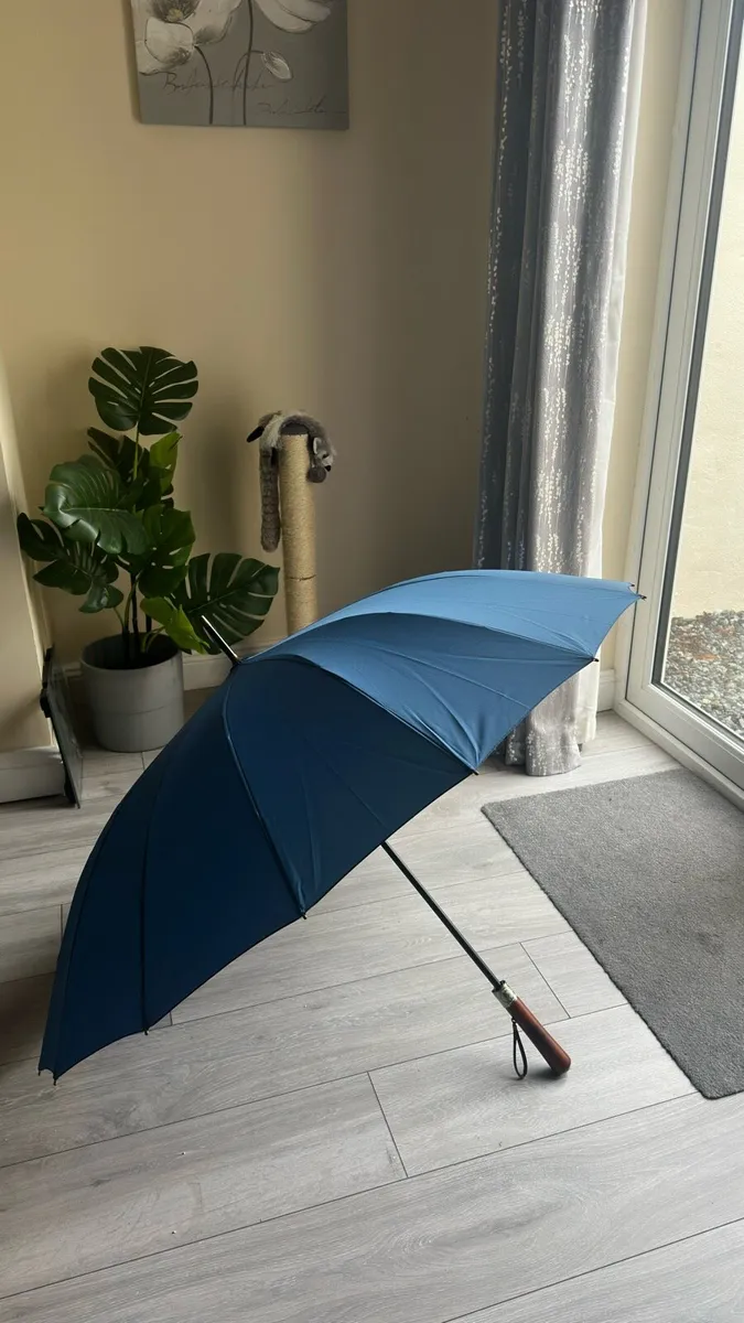 Umbrella’s - Image 2