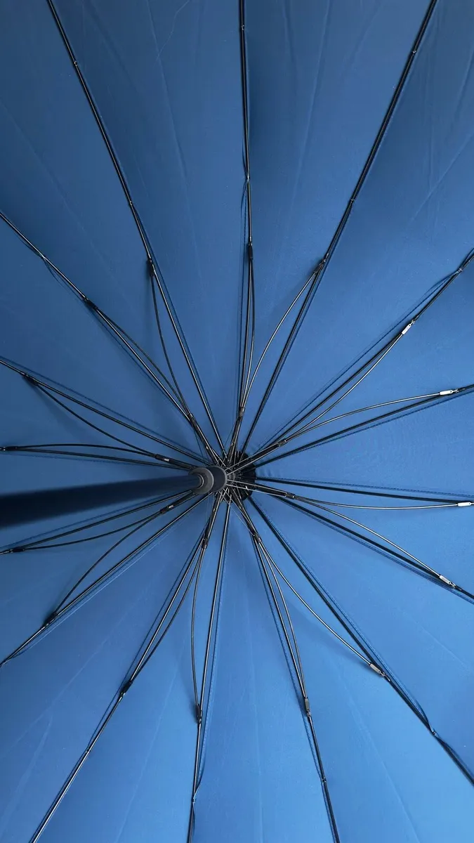 Umbrella’s - Image 3