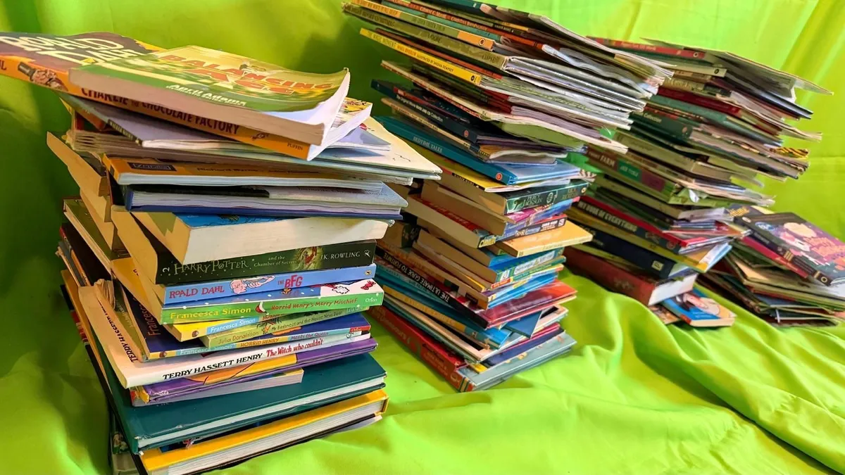 Large bundle kids books-50+ books - Image 3