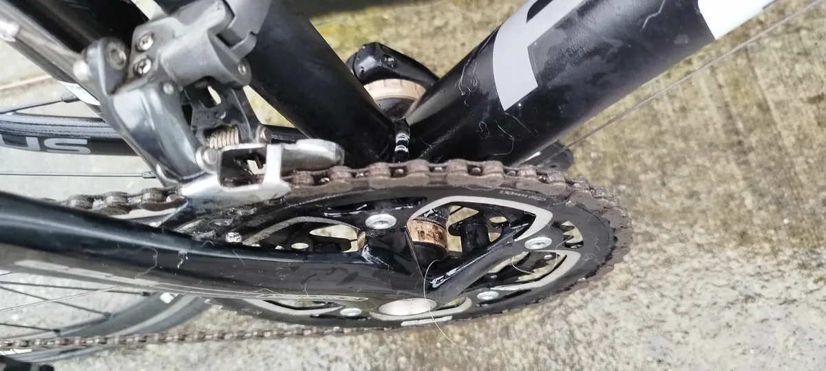 Focus Racing Bike - Image 2