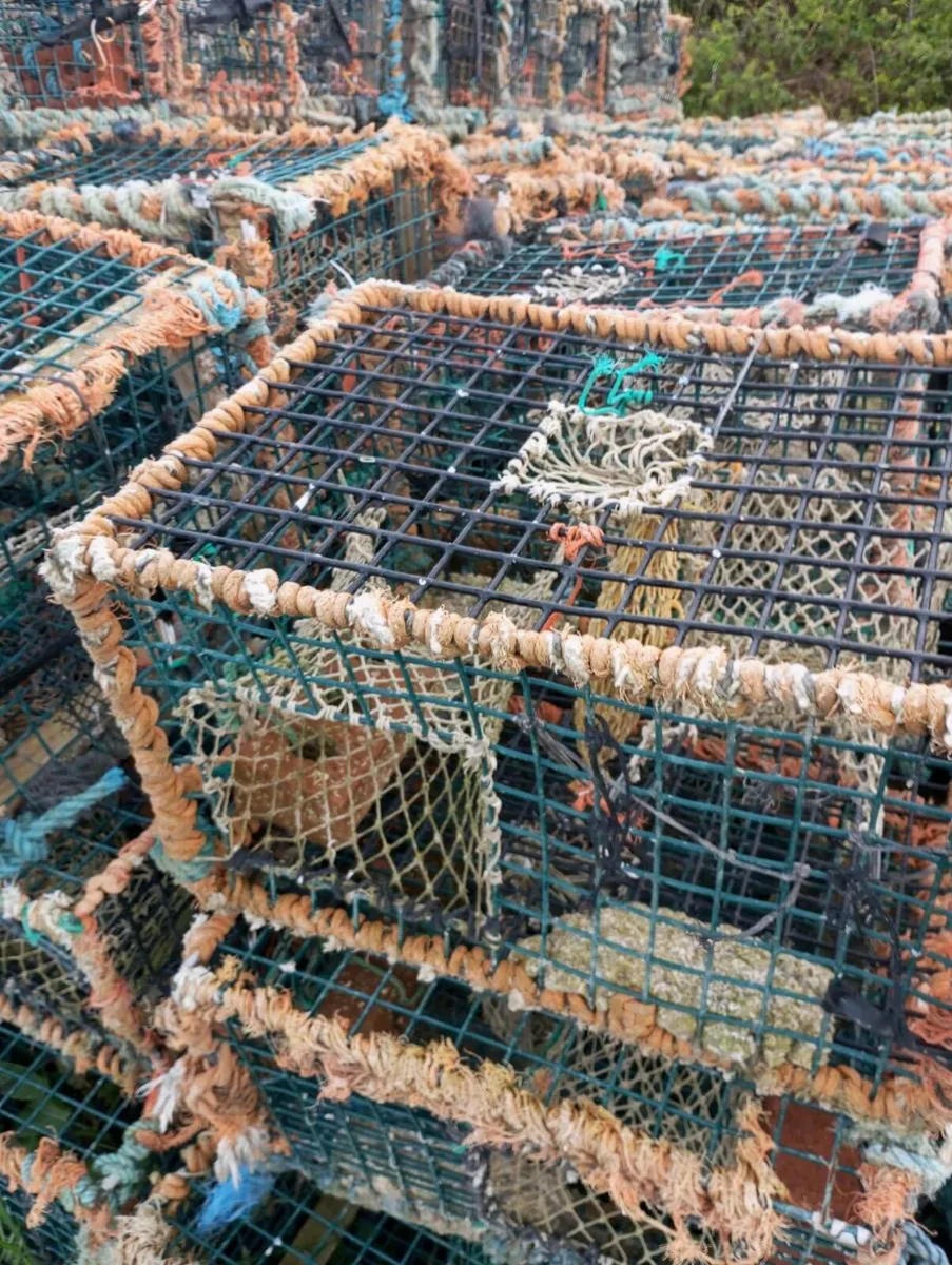 Lobster Pots - Image 2