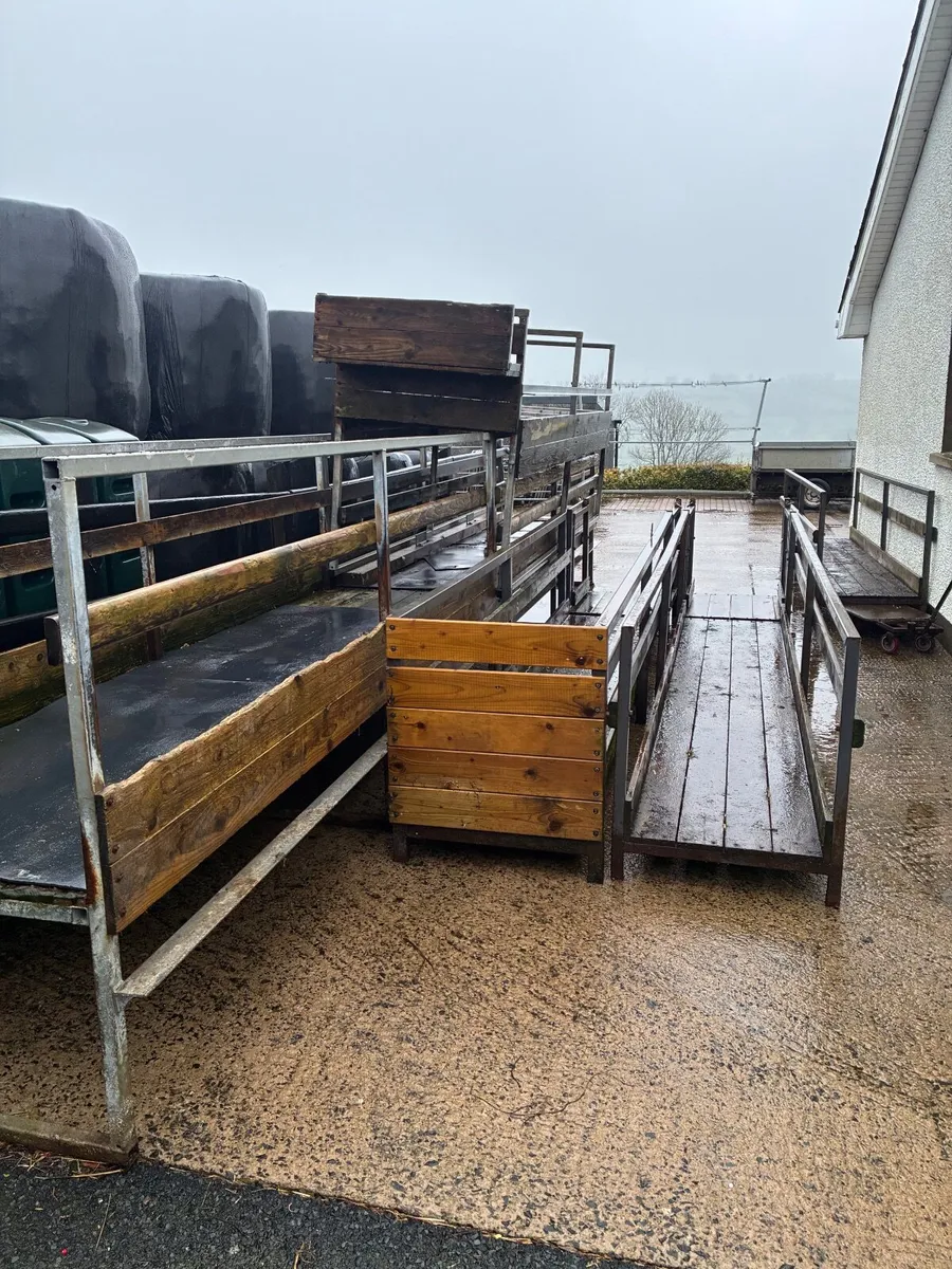 Sheep feeding passage - Image 2