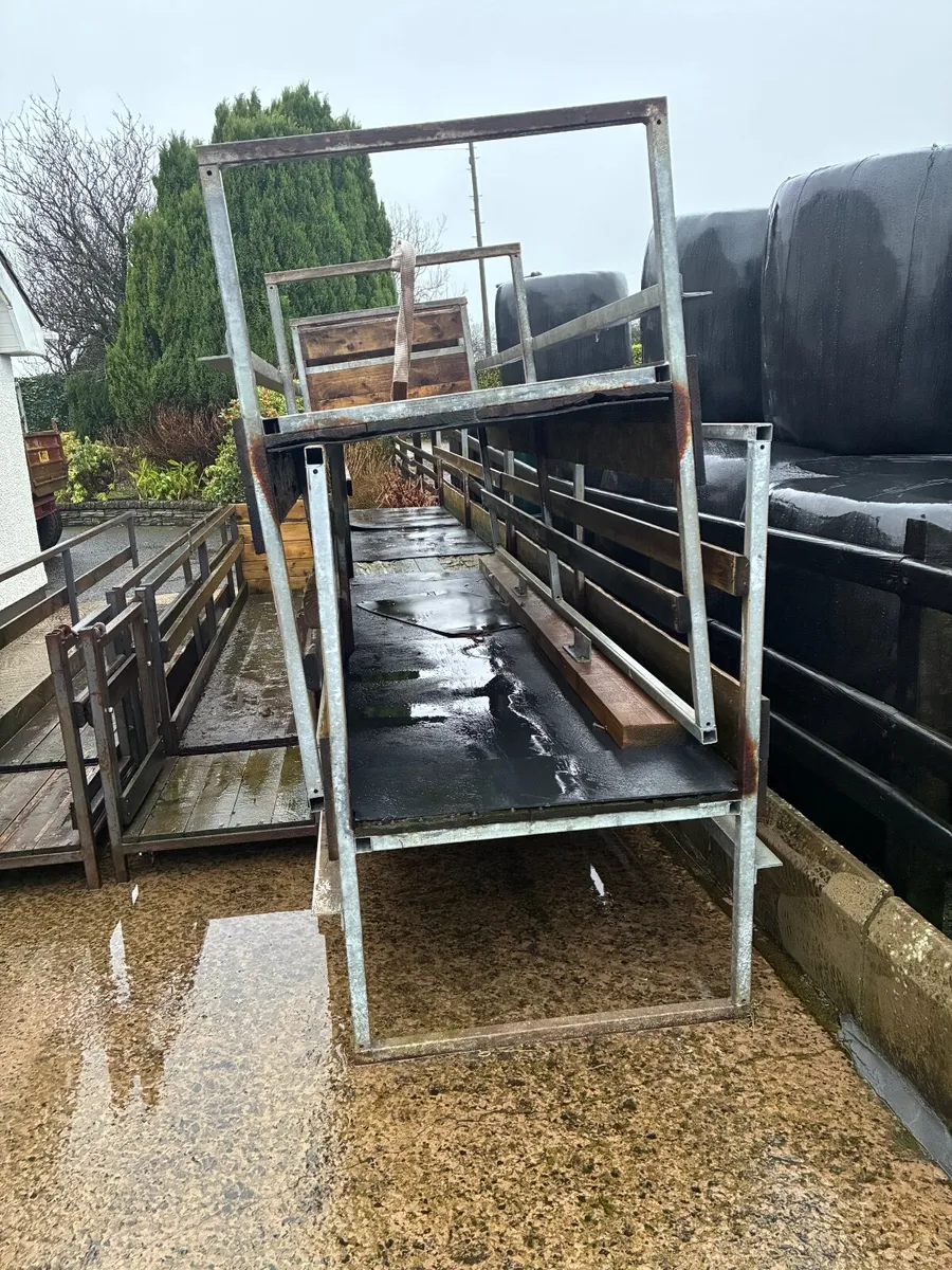 Sheep feeding passage - Image 3