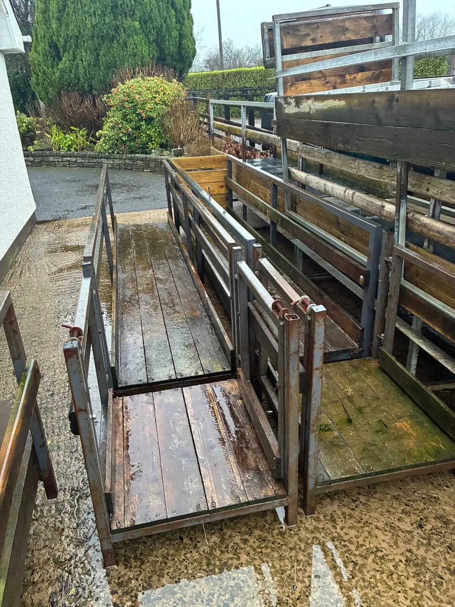 Sheep feeding passage - Image 1