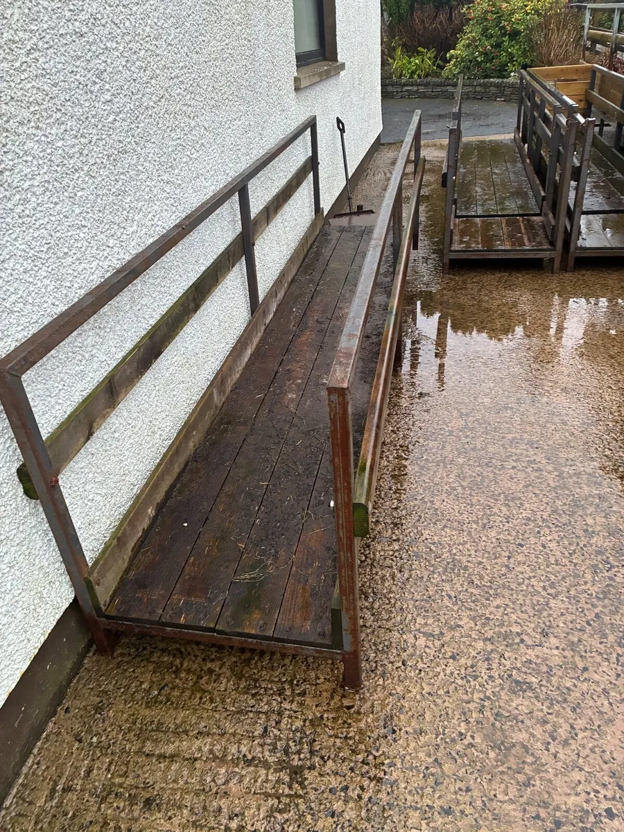 Sheep feeding passage - Image 4