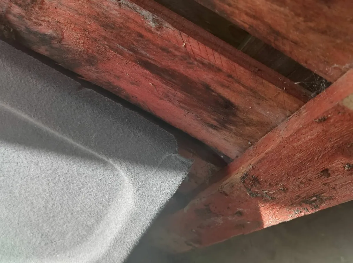 TOYOTA CELICA 2000 SHELF - Image 2