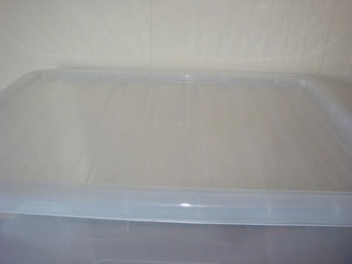 Clear Storage Box With Lid 80l - Image 3