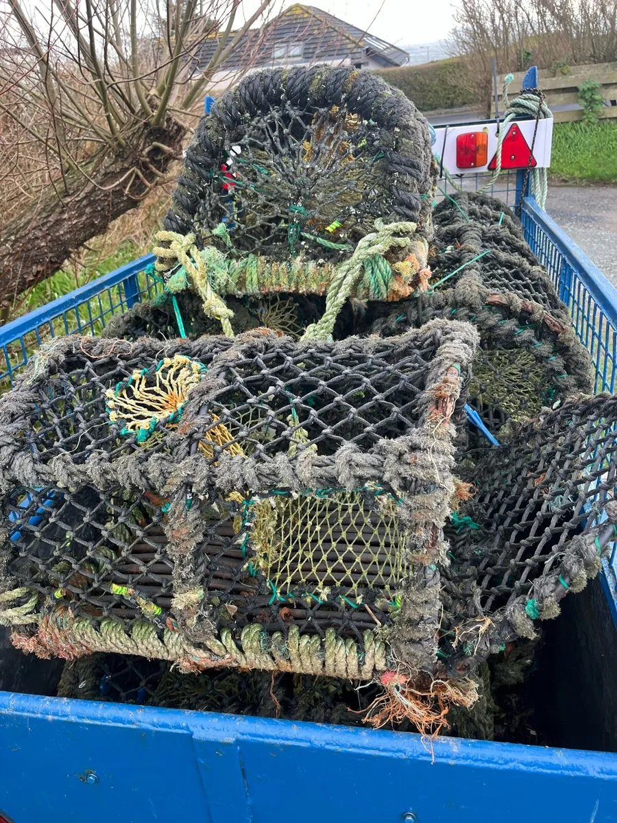 Lobster pots - Image 3