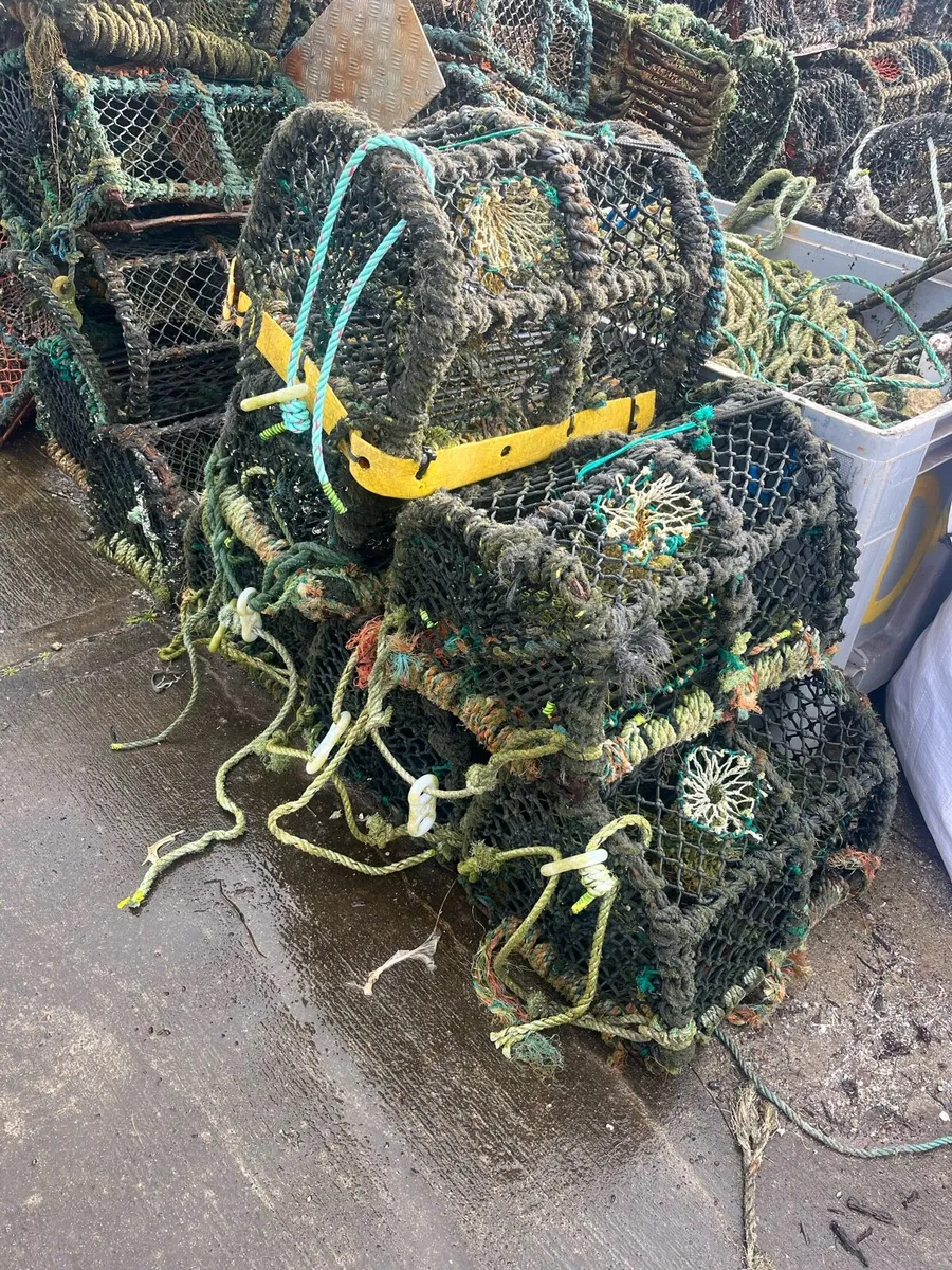 Lobster pots - Image 4