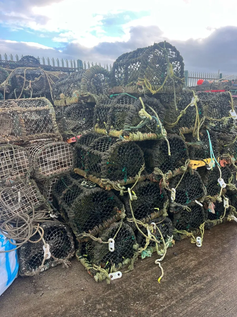 Lobster pots - Image 1