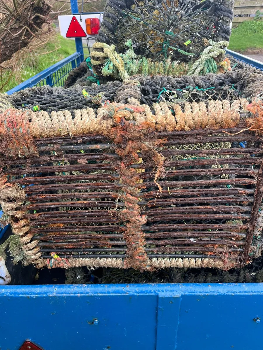 Lobster pots - Image 2