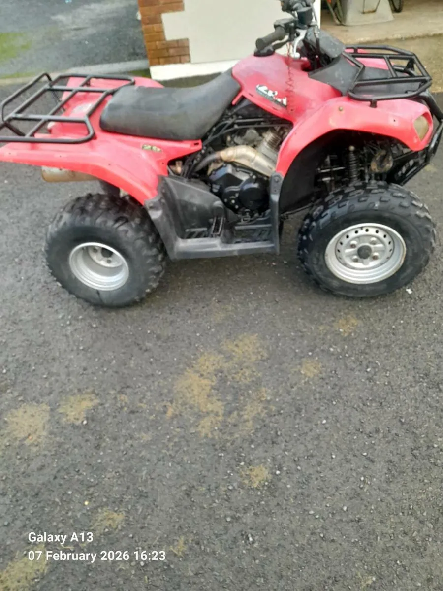 Suzuki ozark 250cc - Image 2