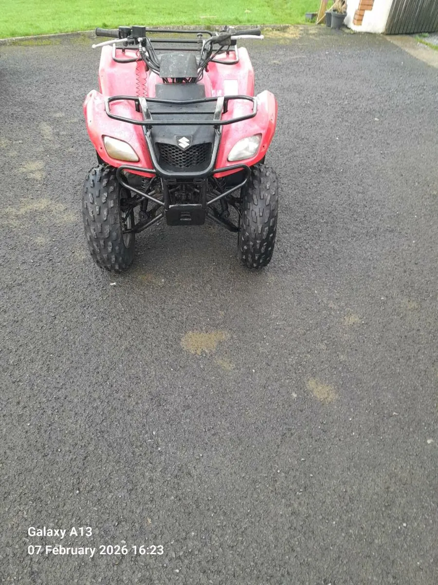 Suzuki ozark 250cc - Image 4