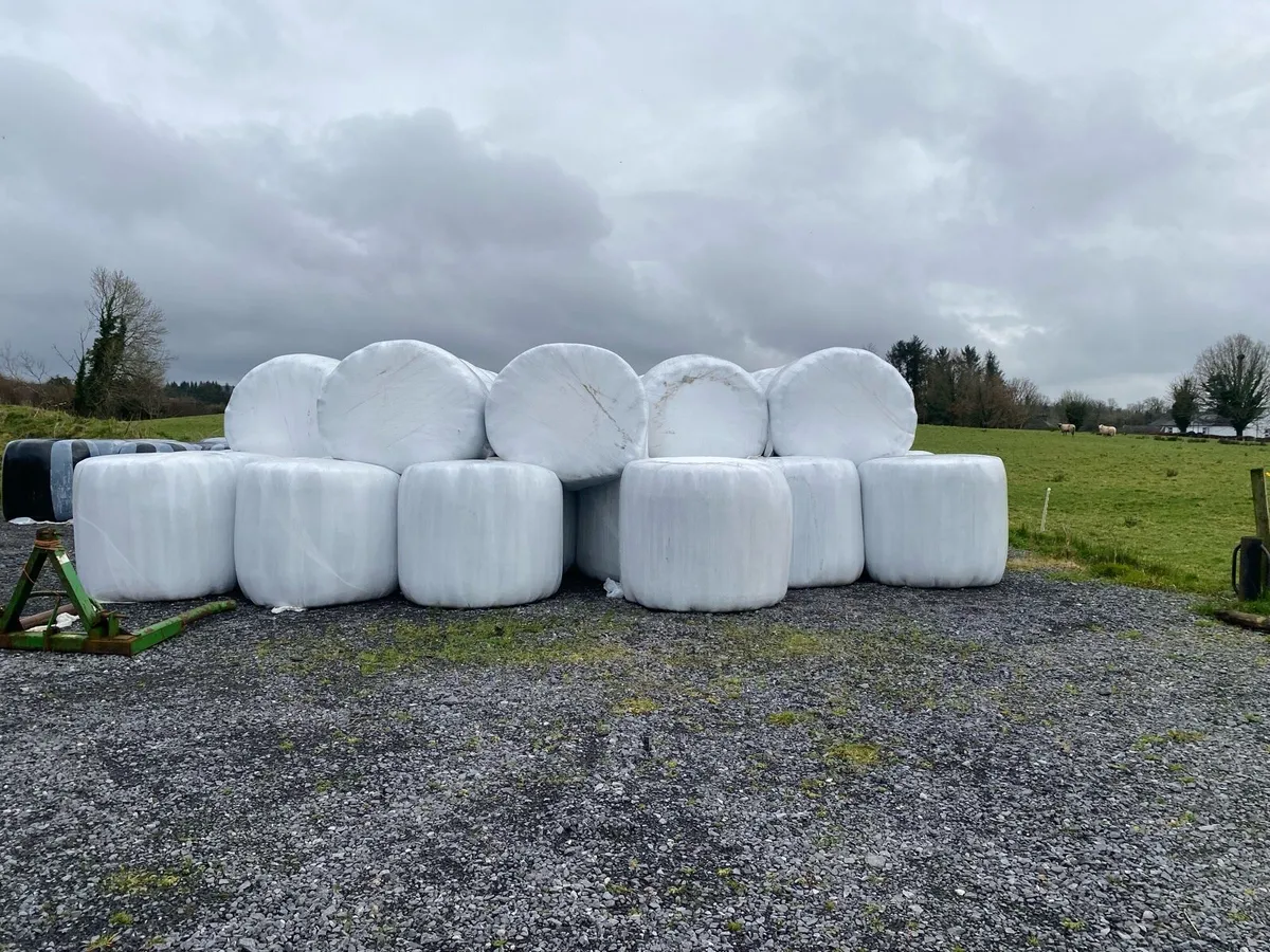 Silage Bales for Sale - Image 1