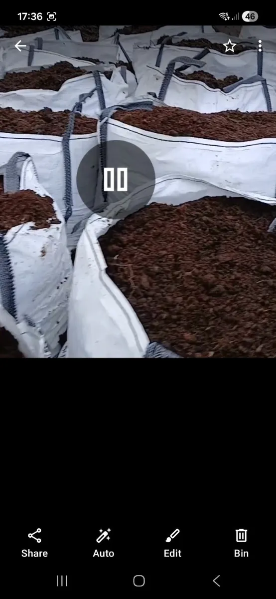 Top quality compost - Image 2