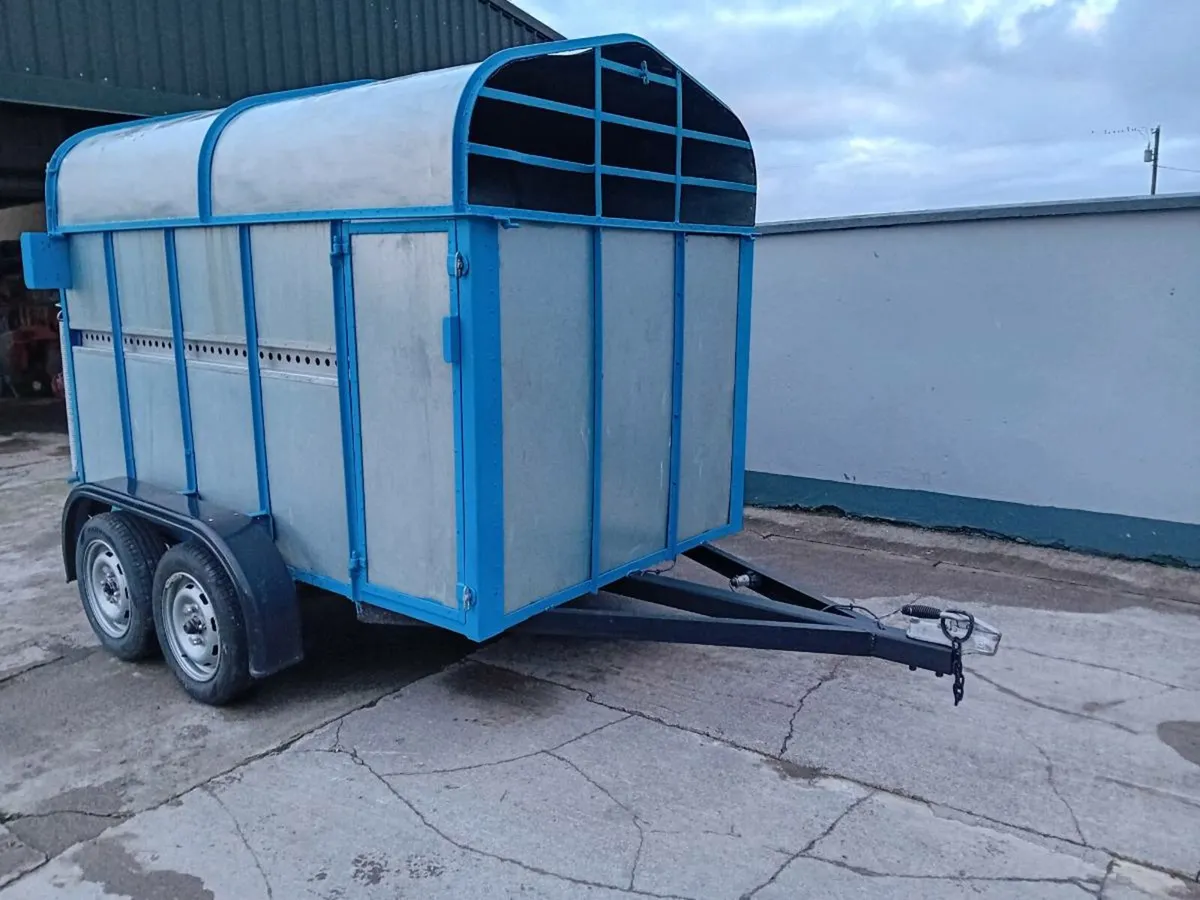 8x5 Cattle Trailer - Image 1