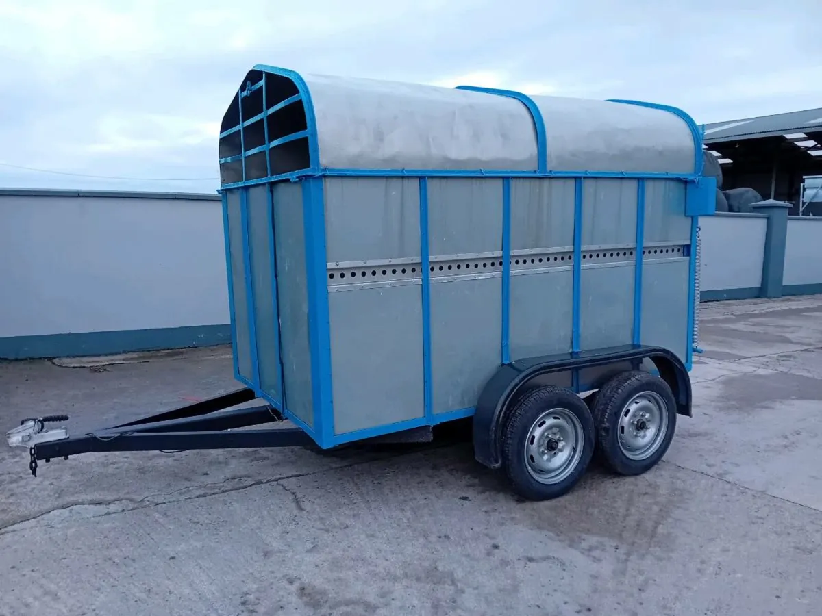 8x5 Cattle Trailer - Image 3