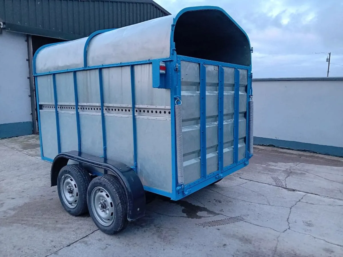 8x5 Cattle Trailer - Image 4