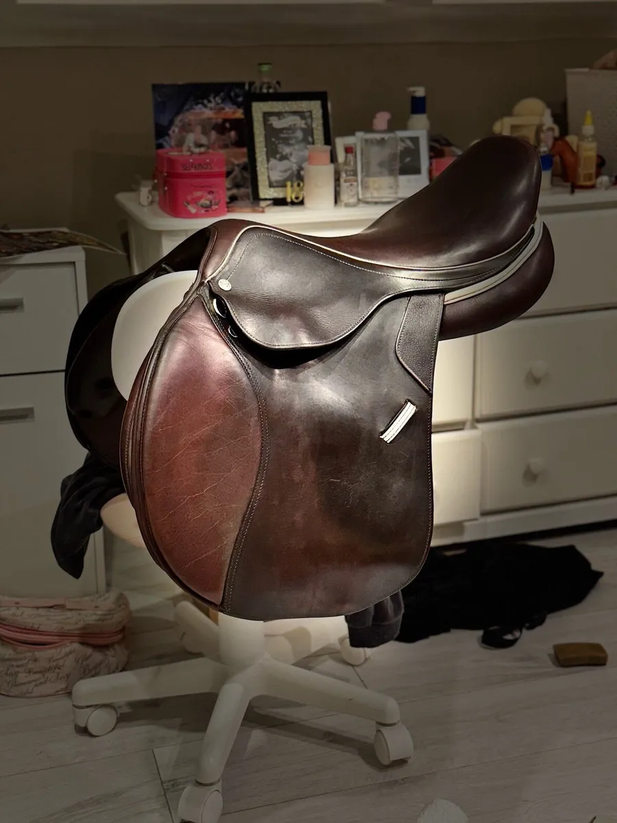 Bordeaux Saddle - Image 4