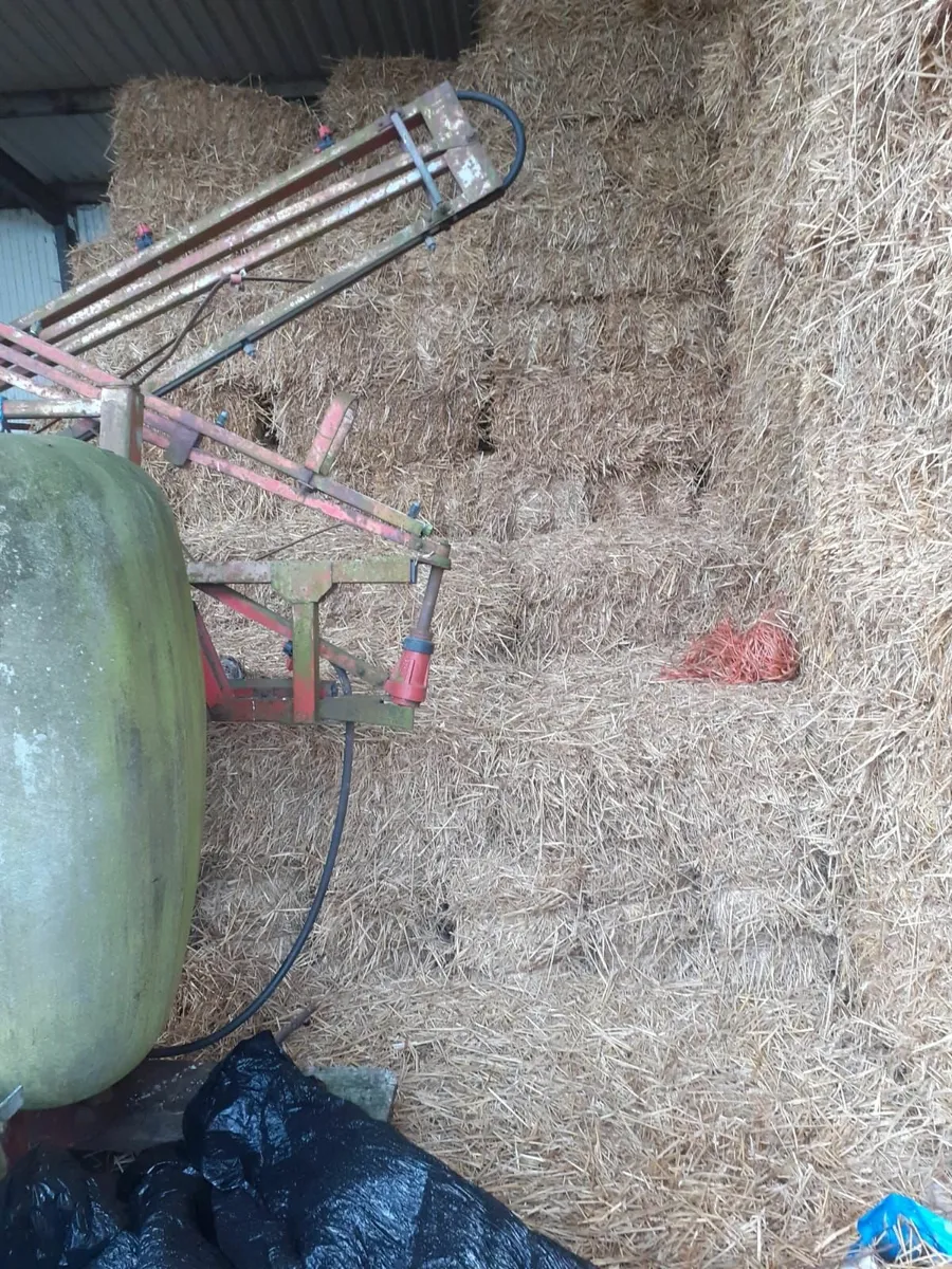 Small square bales wheat & barley straw - Image 2