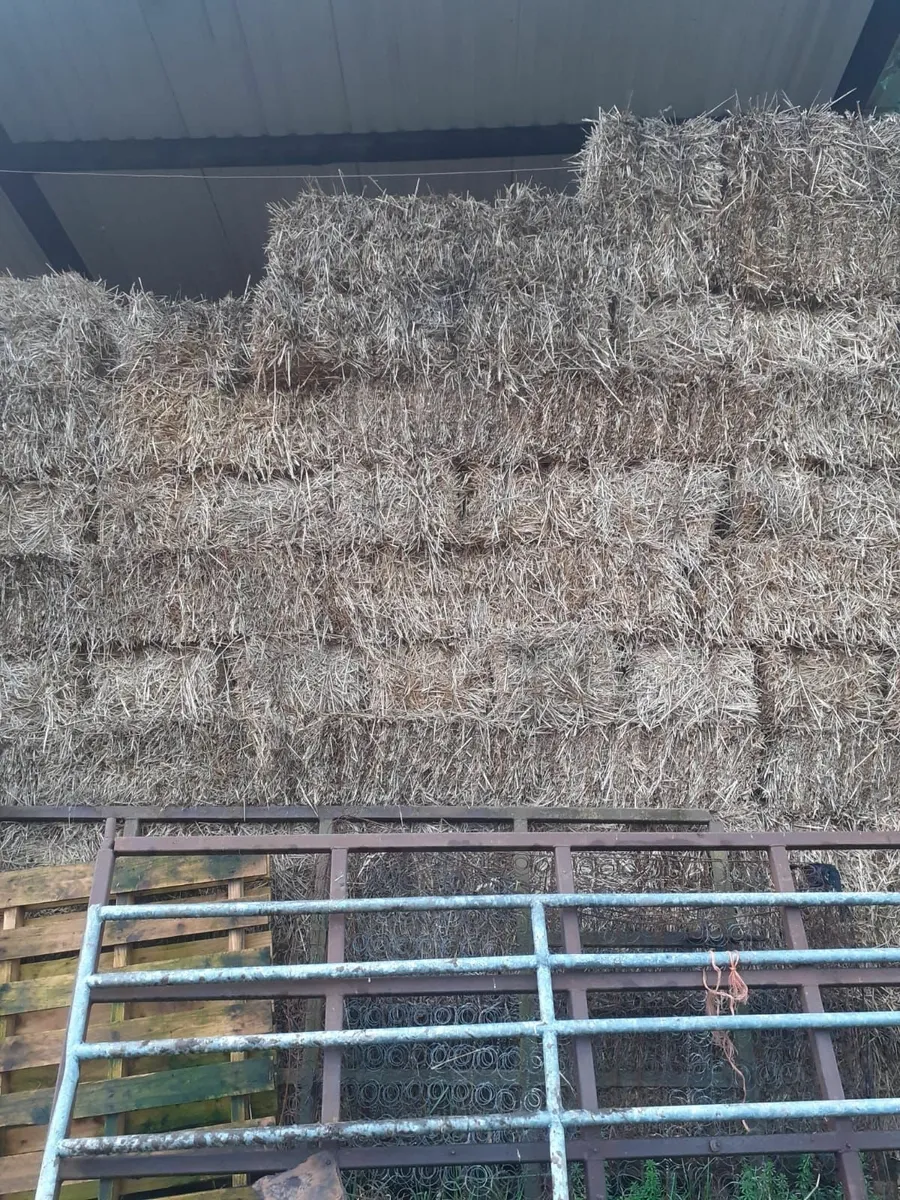 Small square bales wheat & barley straw - Image 1