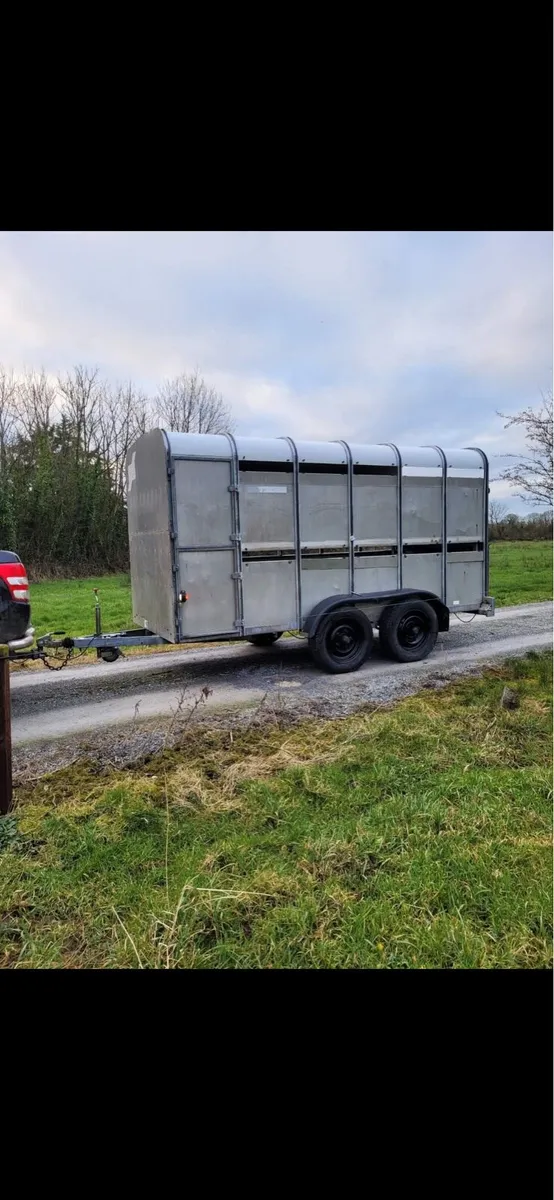 12f Cattle trailer - Image 2