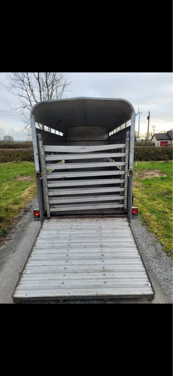12f Cattle trailer - Image 4