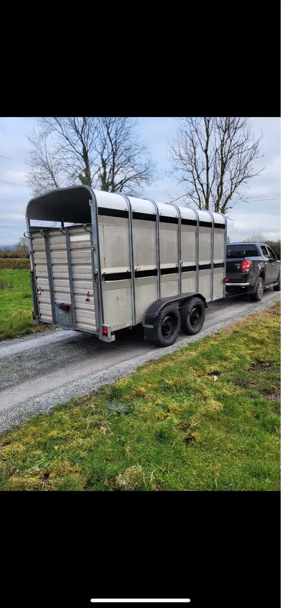 12f Cattle trailer - Image 3