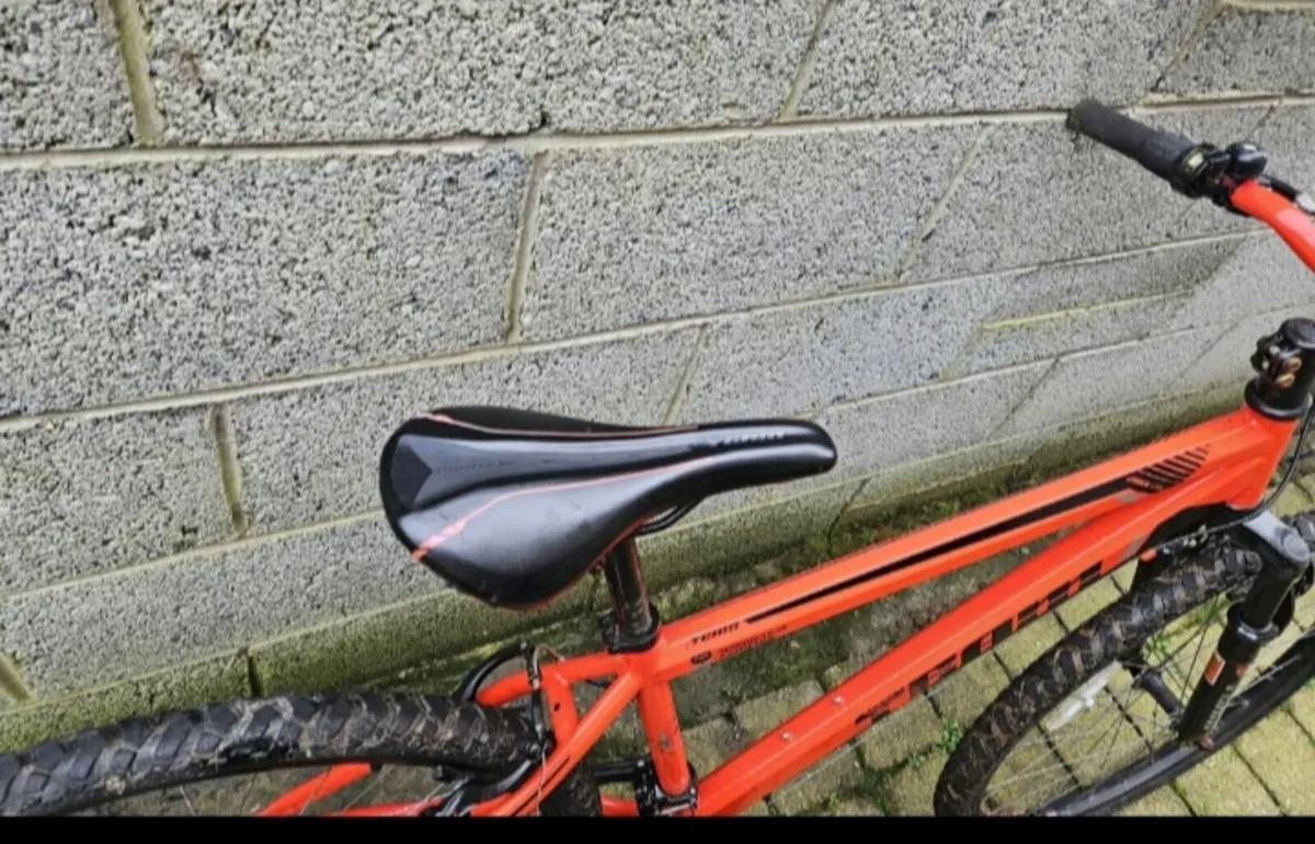 Mountain bike - Image 4