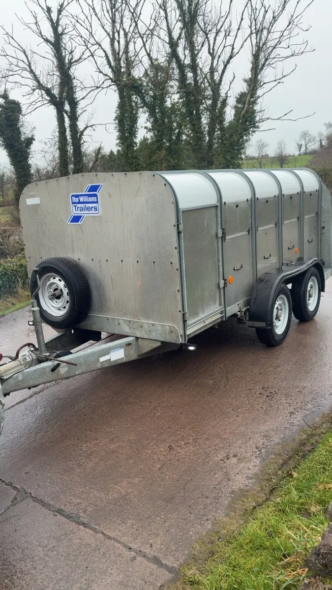 Ifor Williams Low Roof Sheep Trailer - Image 1