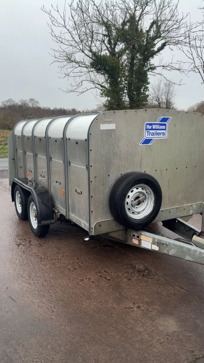 Ifor Williams Low Roof Sheep Trailer - Image 2