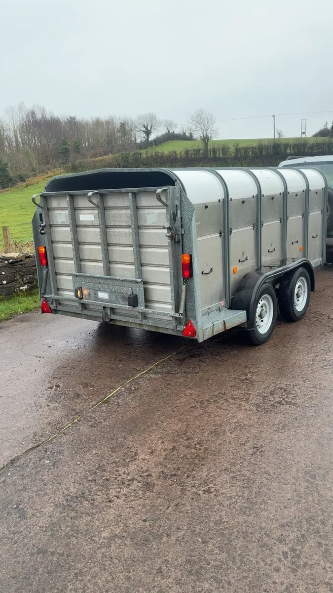 Ifor Williams Low Roof Sheep Trailer - Image 3