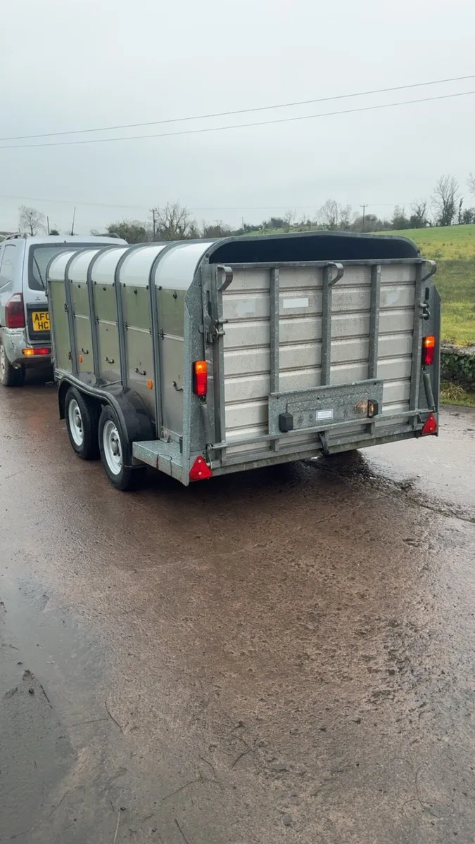 Ifor Williams Low Roof Sheep Trailer - Image 4