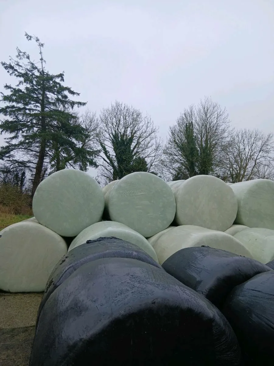 Silage for sale - Image 2