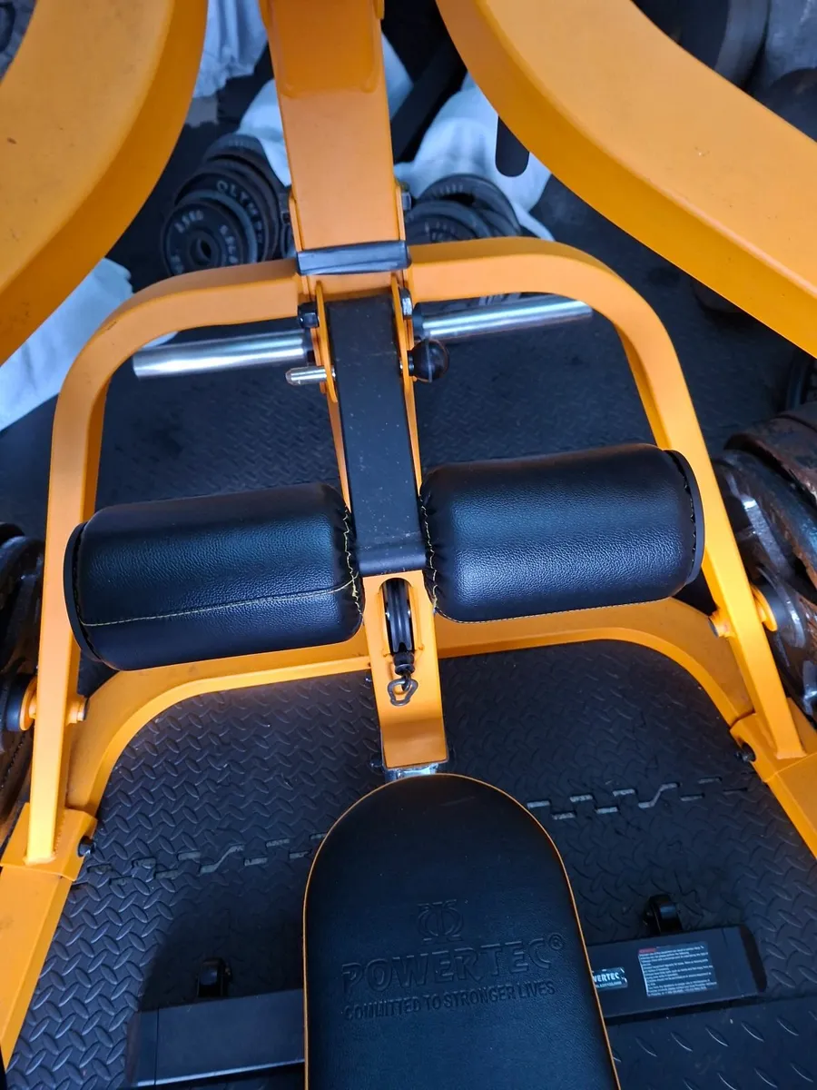 powertec lever gym and attachments - Image 4
