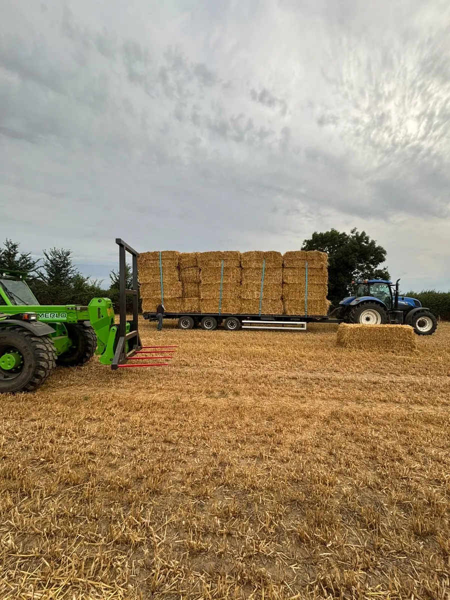 Straw - Image 1